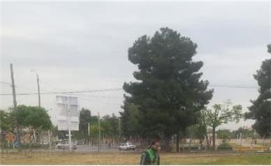 آغاز عملیات آماده‌سازی زمین چمن فوتبال در اراضی پادگان سابق مشهد